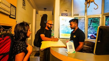 bunk stay rishikesh hostel