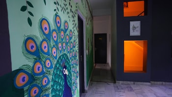 bunk stay rishikesh hostel