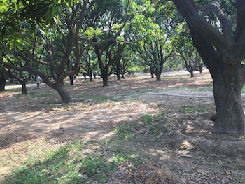 babian imperial resort