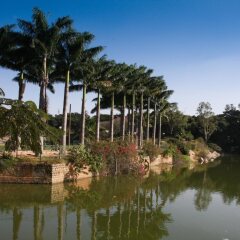 bangalore