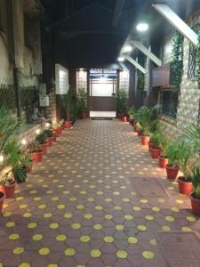 hotel qamar