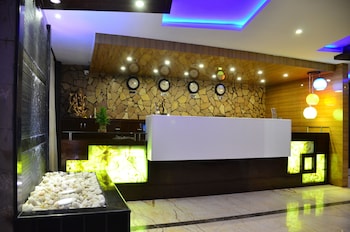 the dolphin palace