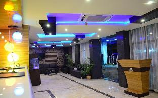 the dolphin palace