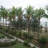 digha