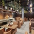 hotel shanti plaza
