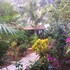 canacona