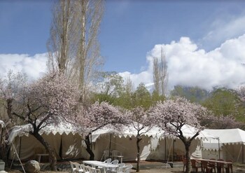 royal deluxe camp tents and cottages