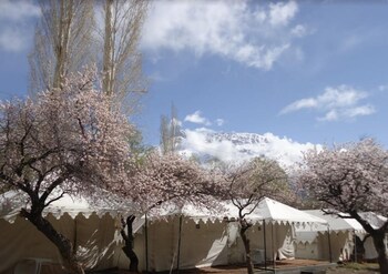 royal deluxe camp tents and cottages