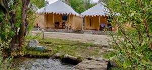 royal deluxe camp tents and cottages