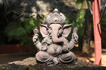 palm trees ayurvedic heritage