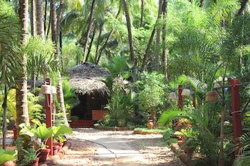 palm trees ayurvedic heritage