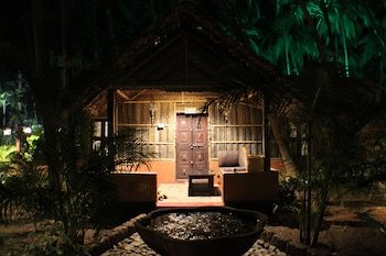 palm trees ayurvedic heritage