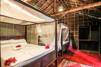 palm trees ayurvedic heritage