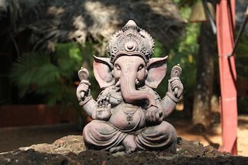 palm trees ayurvedic heritage