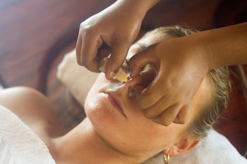 palm trees ayurvedic heritage