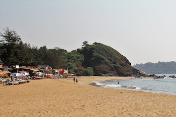 palm trees ayurvedic heritage