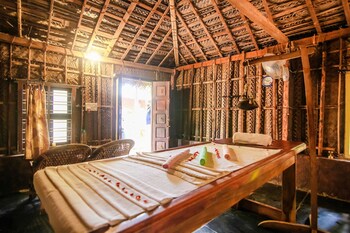 palm trees ayurvedic heritage