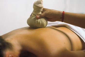 palm trees ayurvedic heritage