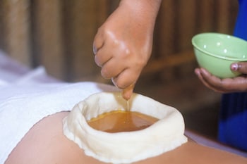 palm trees ayurvedic heritage