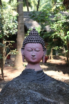 palm trees ayurvedic heritage