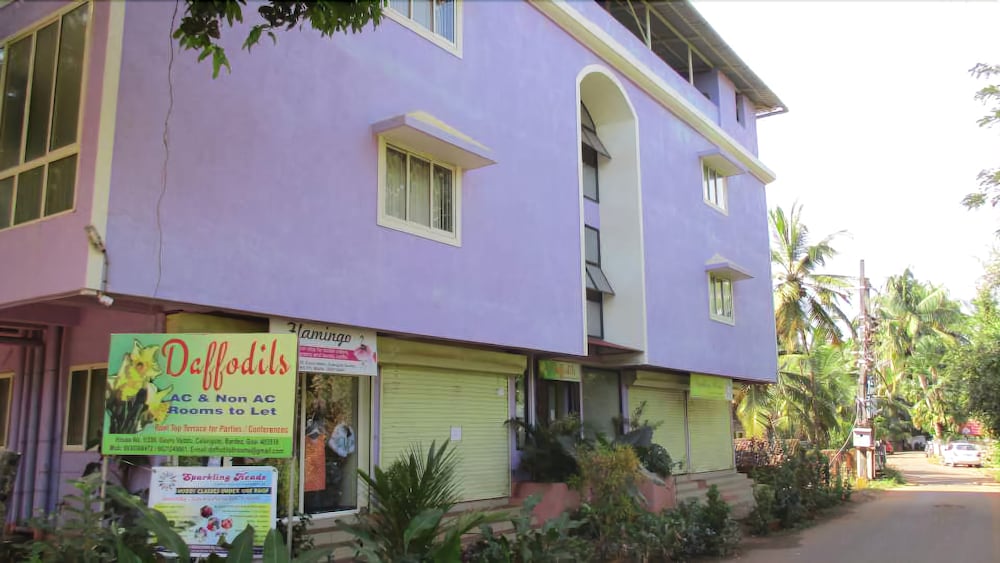 daffodils guest house calangute