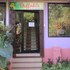 daffodils guest house calangute