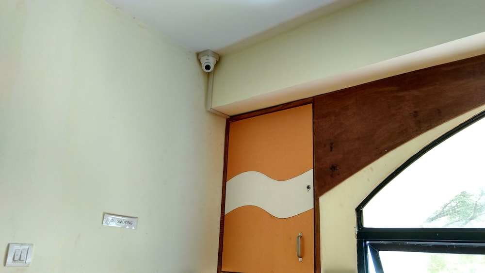 daffodils guest house calangute