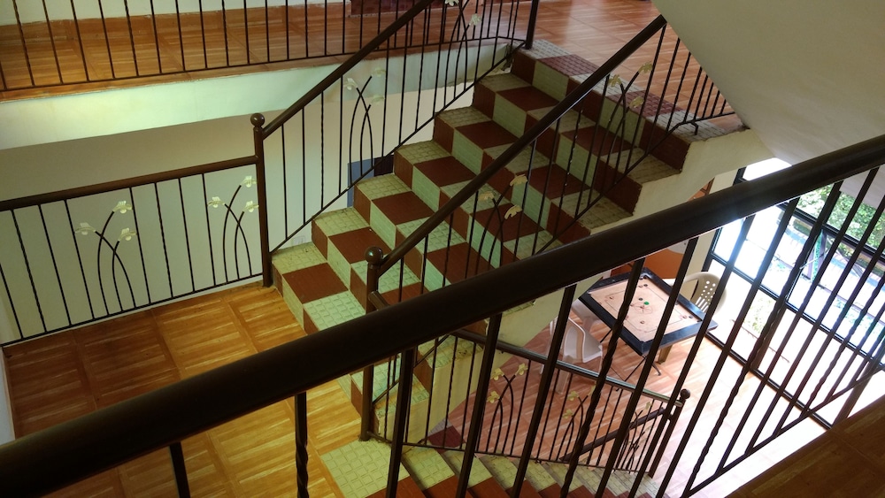 daffodils guest house calangute