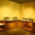 hotel sai krish grand