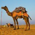 jaisalmer