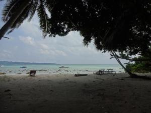 gold india beach resort