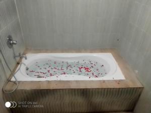 gold india beach resort