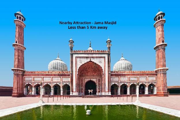 new delhi