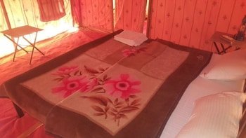royal rajputana camp