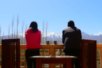 the driftwood ladakh