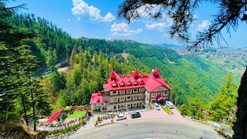 hotel shimla hills international