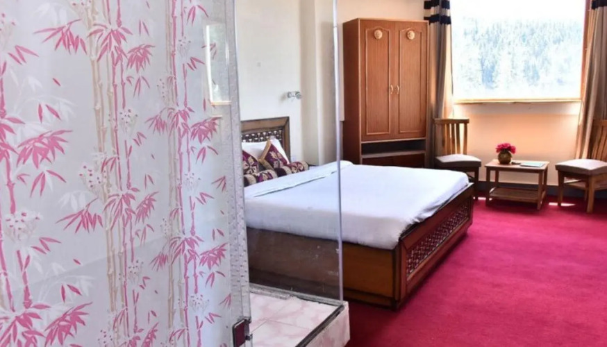 hotel shimla hills international