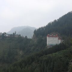 hotel shimla hills international