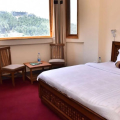 hotel shimla hills international