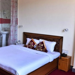 hotel shimla hills international