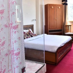 hotel shimla hills international