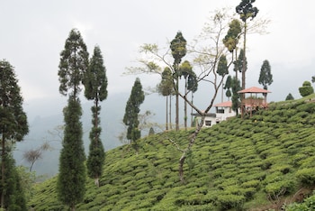 Chamong Chiabari Mountain Retreat,Kayiavir Plungdung>>Darjeeling,4 star