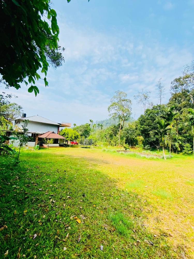 girassol service villa