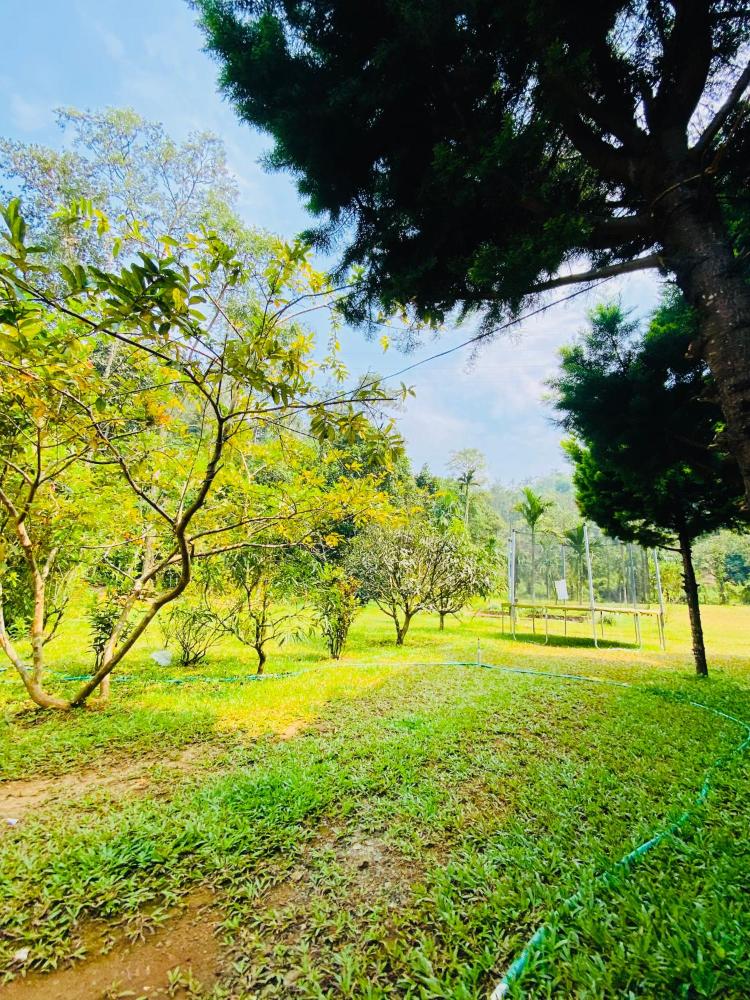 girassol service villa