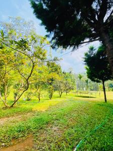 girassol service villa