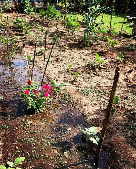 dream vision guest house