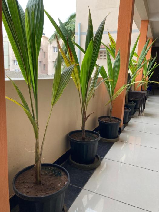 dream vision guest house