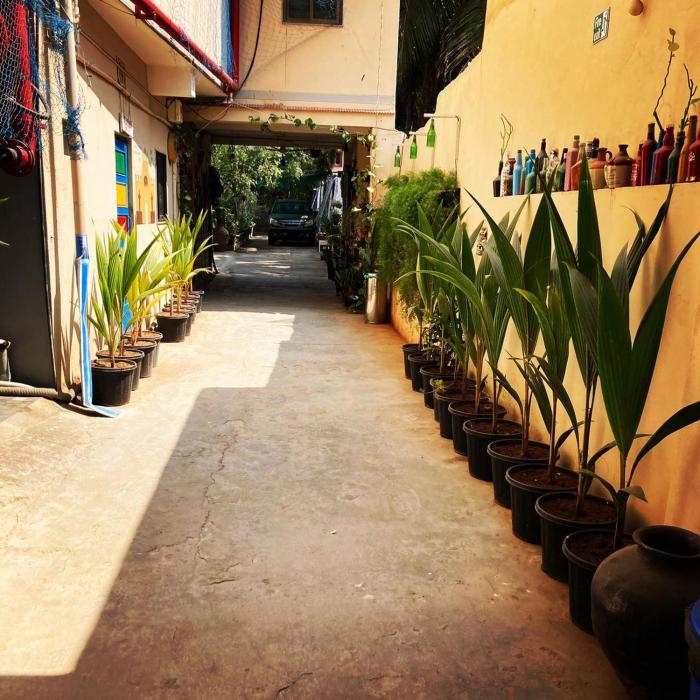 dream vision guest house