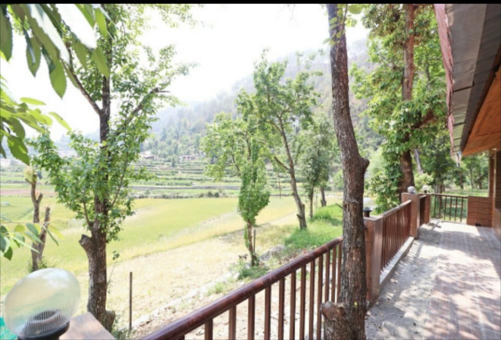 nainital