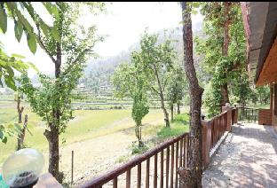 nainital